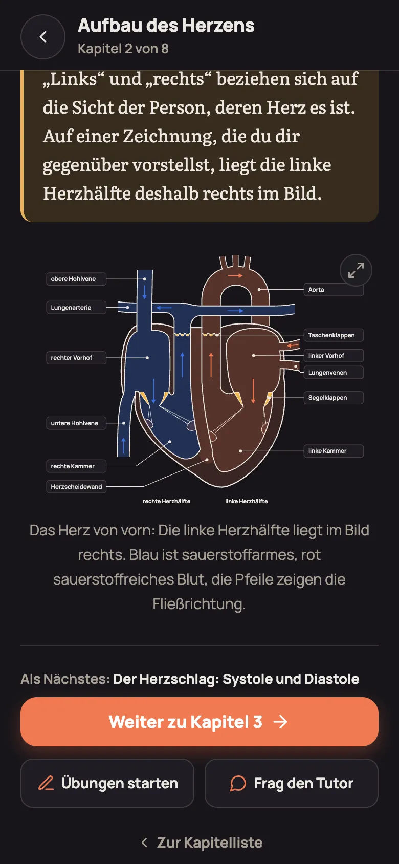 Kapitel „Aufbau des Herzens“ im Lernzettel Blutkreislauf: das Herz im Längsschnitt mit Beschriftungen wie Aorta, linker Vorhof und Segelklappen, darunter ein Satz zur Abbildung und oben rechts der Knopf „Groß anzeigen“